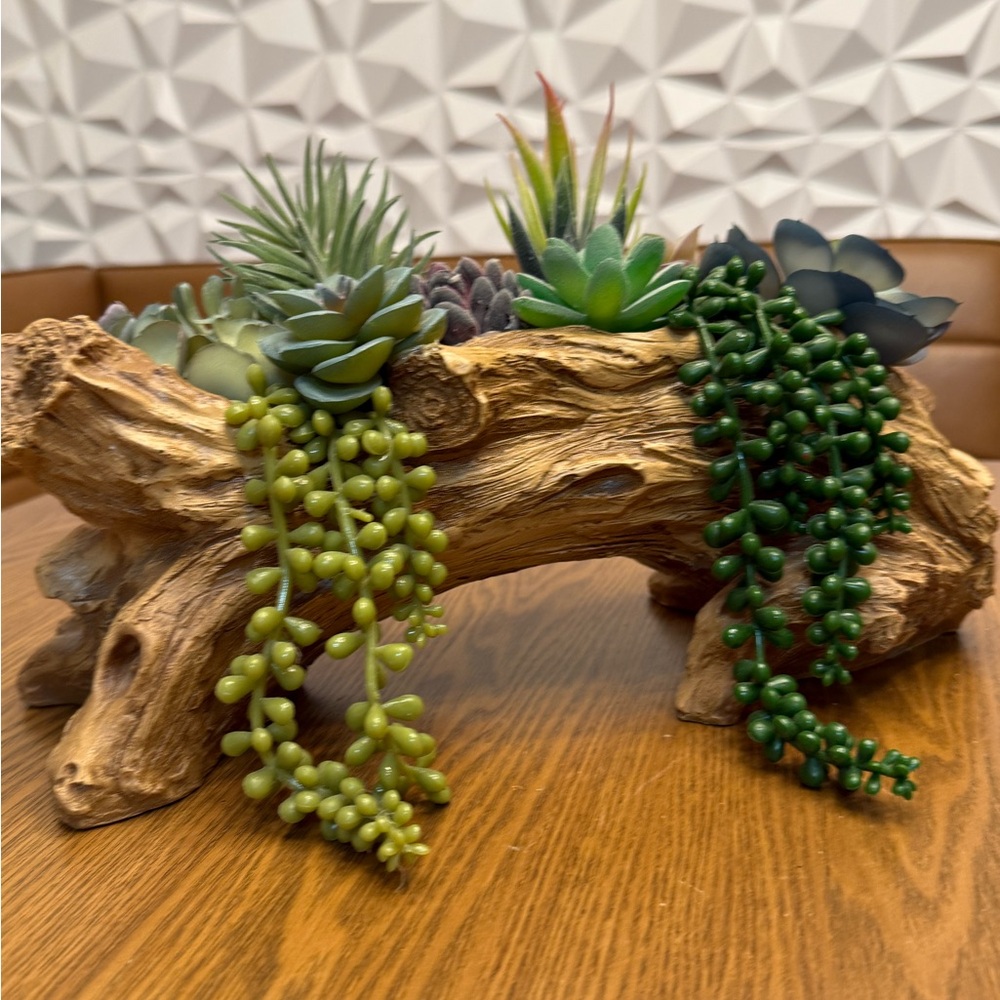 Natural Log Planter with Green Succulents